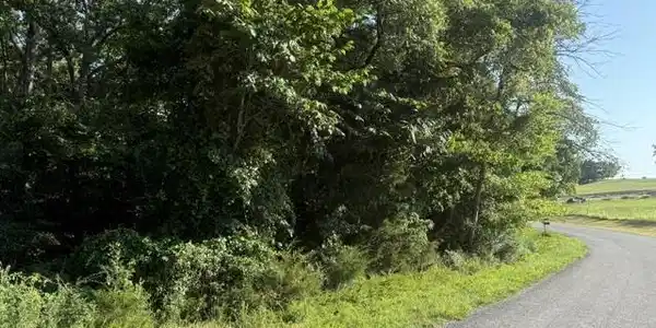 001-07615-000 CR 625