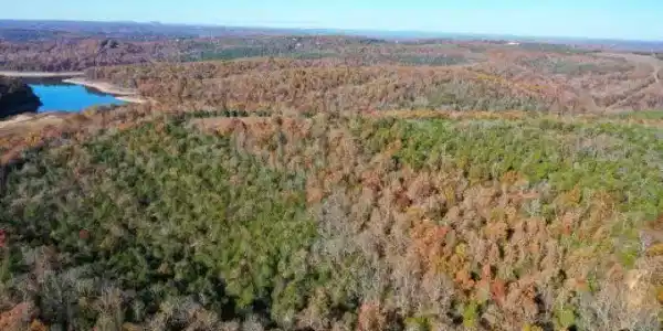 001-00776-000 CR 137