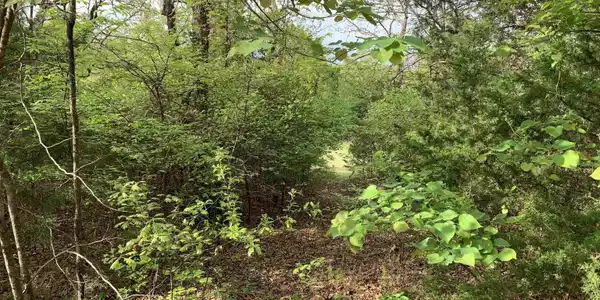Lot 12 ASCENSION DRIVE