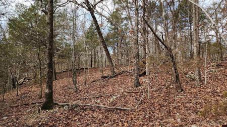 Lot 37 KINGSWAY CIRCLE