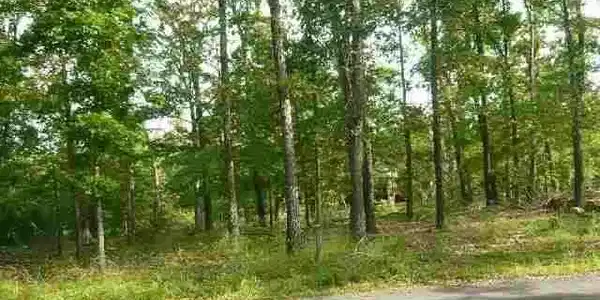 LOT 26 VERSAILLES DRIVE