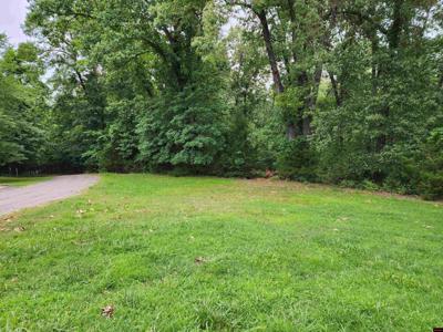 Lot 1 LAKE POINT DRIVE