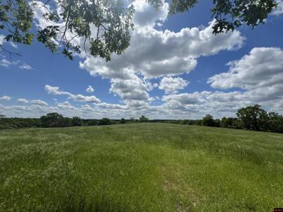 019-02645-006 0 DOWNES ROAD