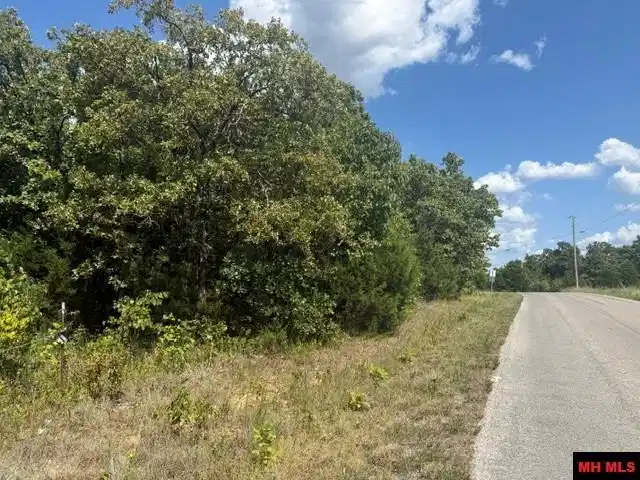 Image 0