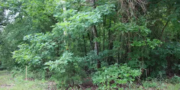 001-09520-000 HWY 178