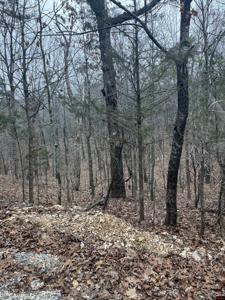001-08910-007 CR 8107