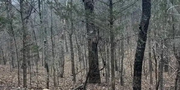 001-08910-007 CR 8107