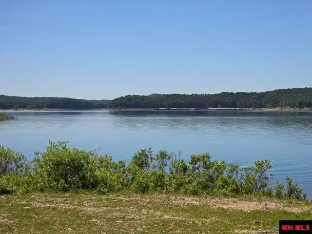 Image 0