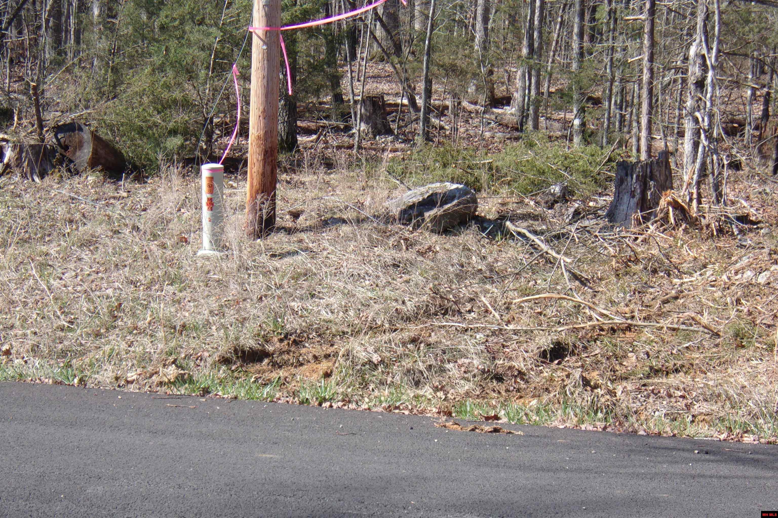 Image 1: Image 1