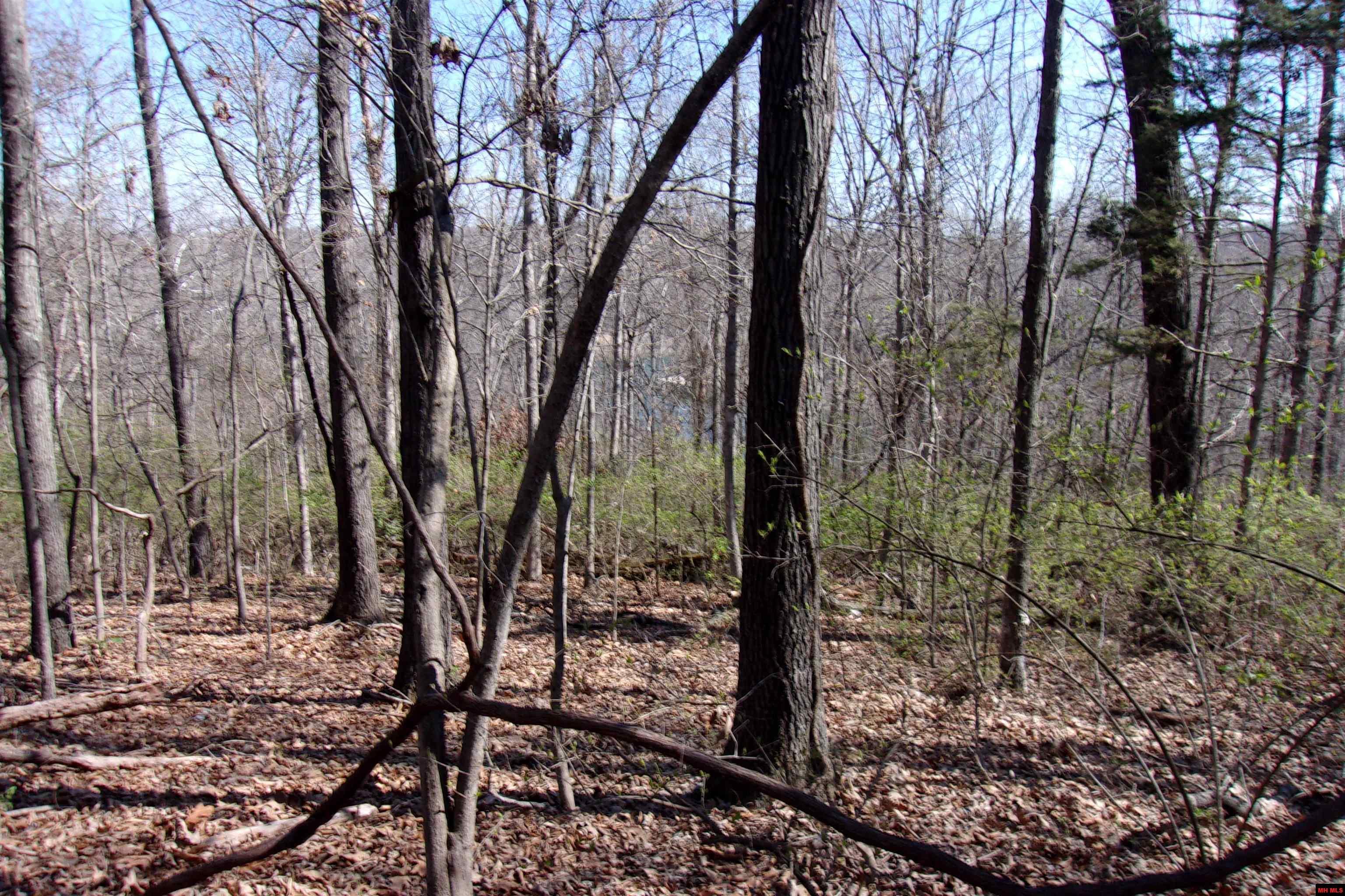Image 2: Image 2