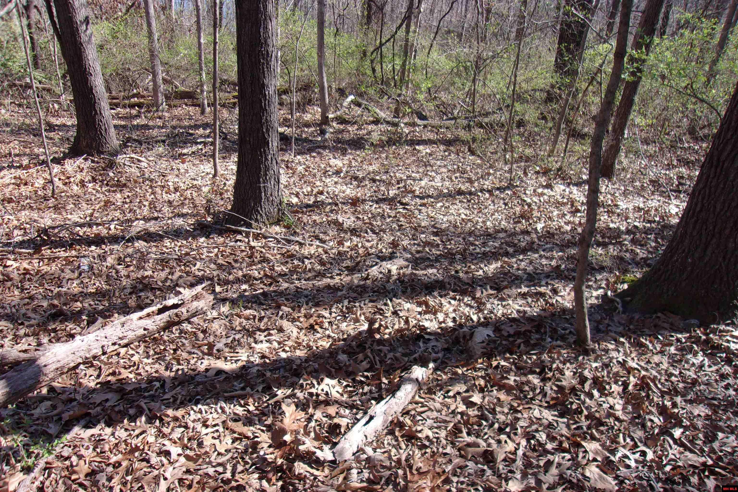 Image 3: Image 3