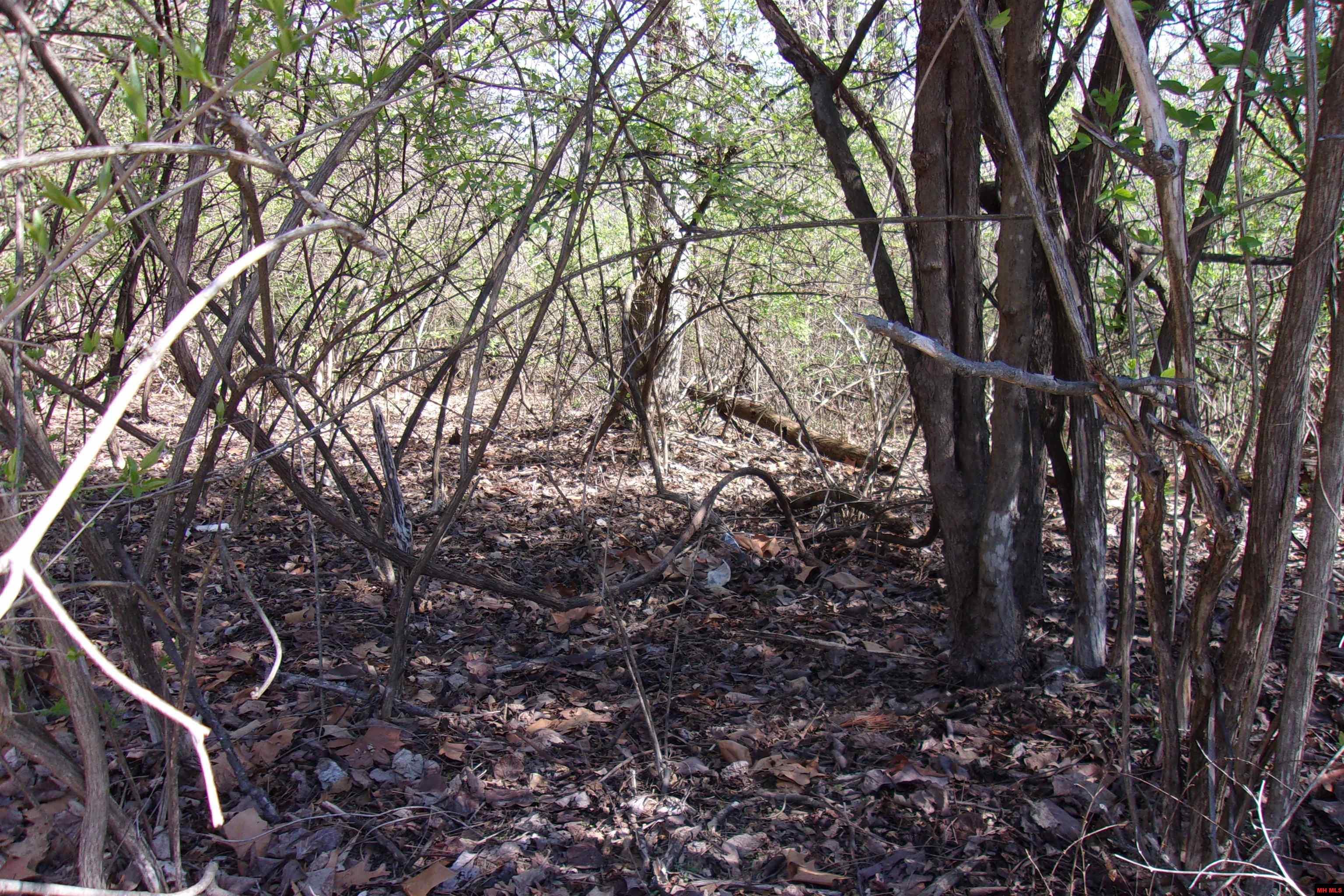 Image 4: Image 4