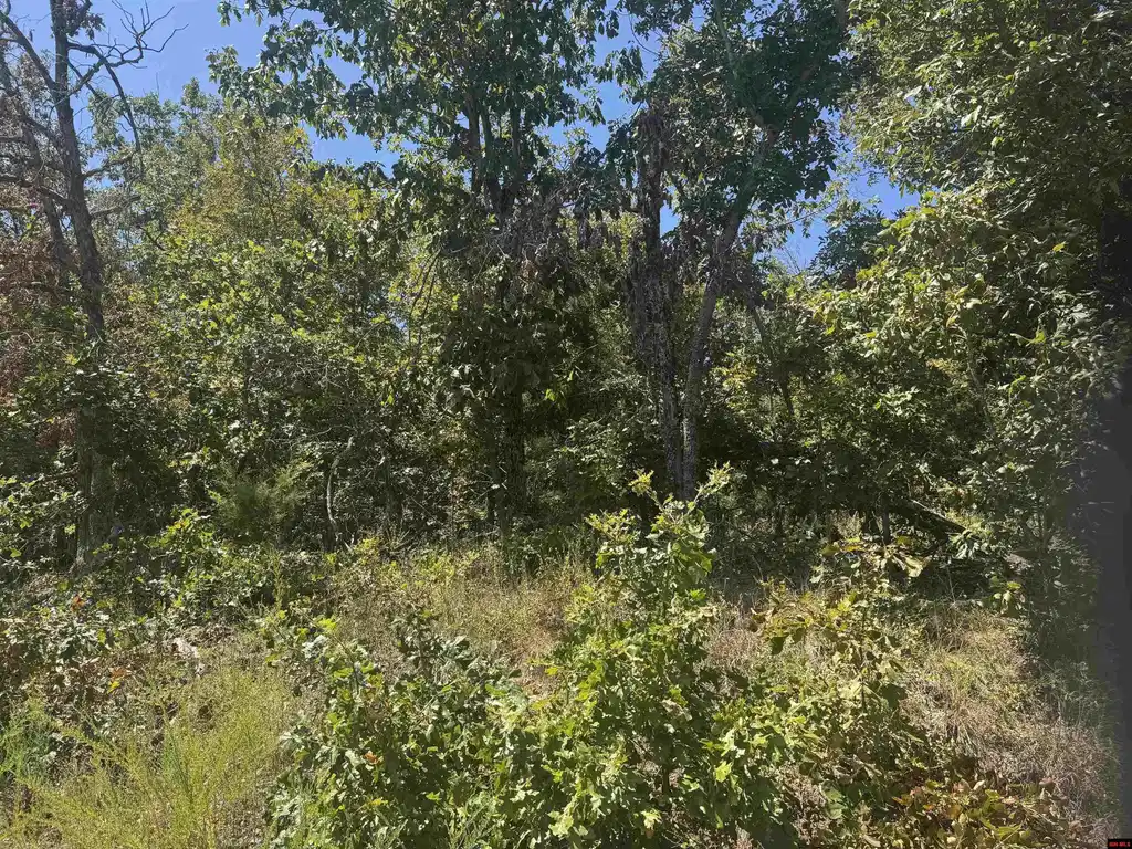Image 0