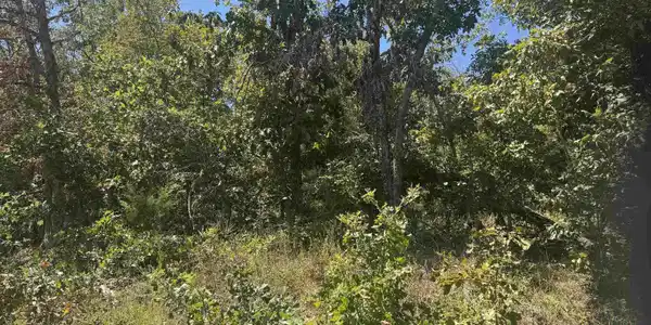 760-15822-000 MCDONALD MEADOWS PARKWAY
