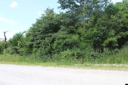019-02950-000 HORSESHOE BEND ROAD