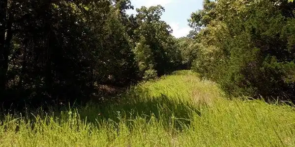 Lot 34 CEDAR LANE