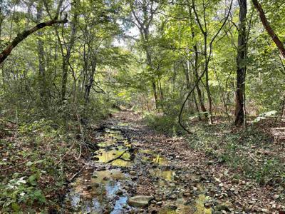 000 OLD RUSH CREEK ROAD