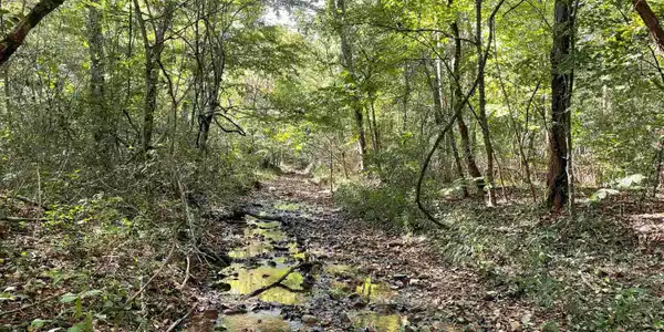 000 OLD RUSH CREEK ROAD