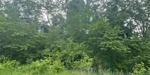 Lot 58 TOWN PARK WAY