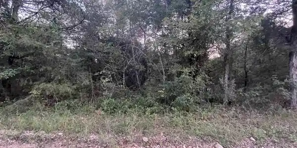 Lot 41 CANARY LANE