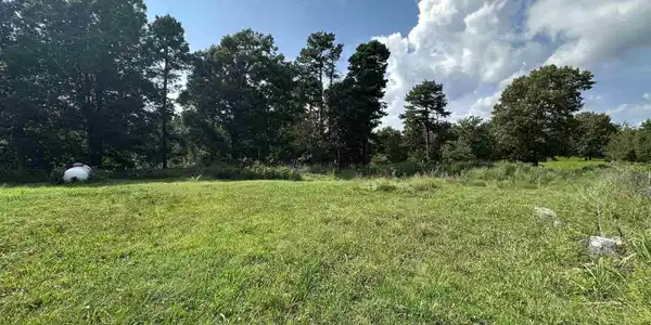 231 JONES ROAD