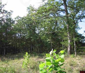 Lot 15 SARGENT PEPPER DRIVE