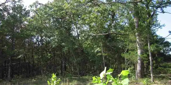 Lot 15 SARGENT PEPPER DRIVE
