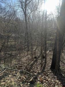 268-00601-000 ALTAKIMA CIRCLE