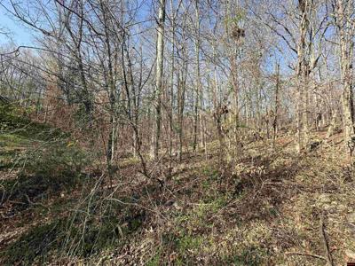 300-00220-000 BLACKFOOT DRIVE