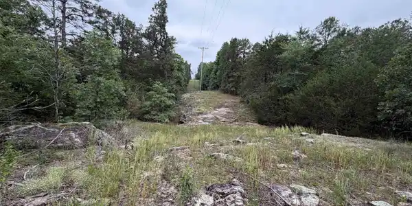 1031 OLD DOLPH ROAD