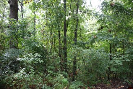 790-00540-008 S MAPLEWOOD LANE