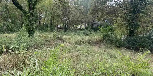 300 FALLEN ASH ROAD