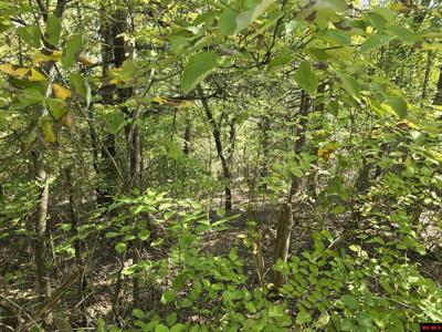 760-22353-000 BELTLINE ROAD