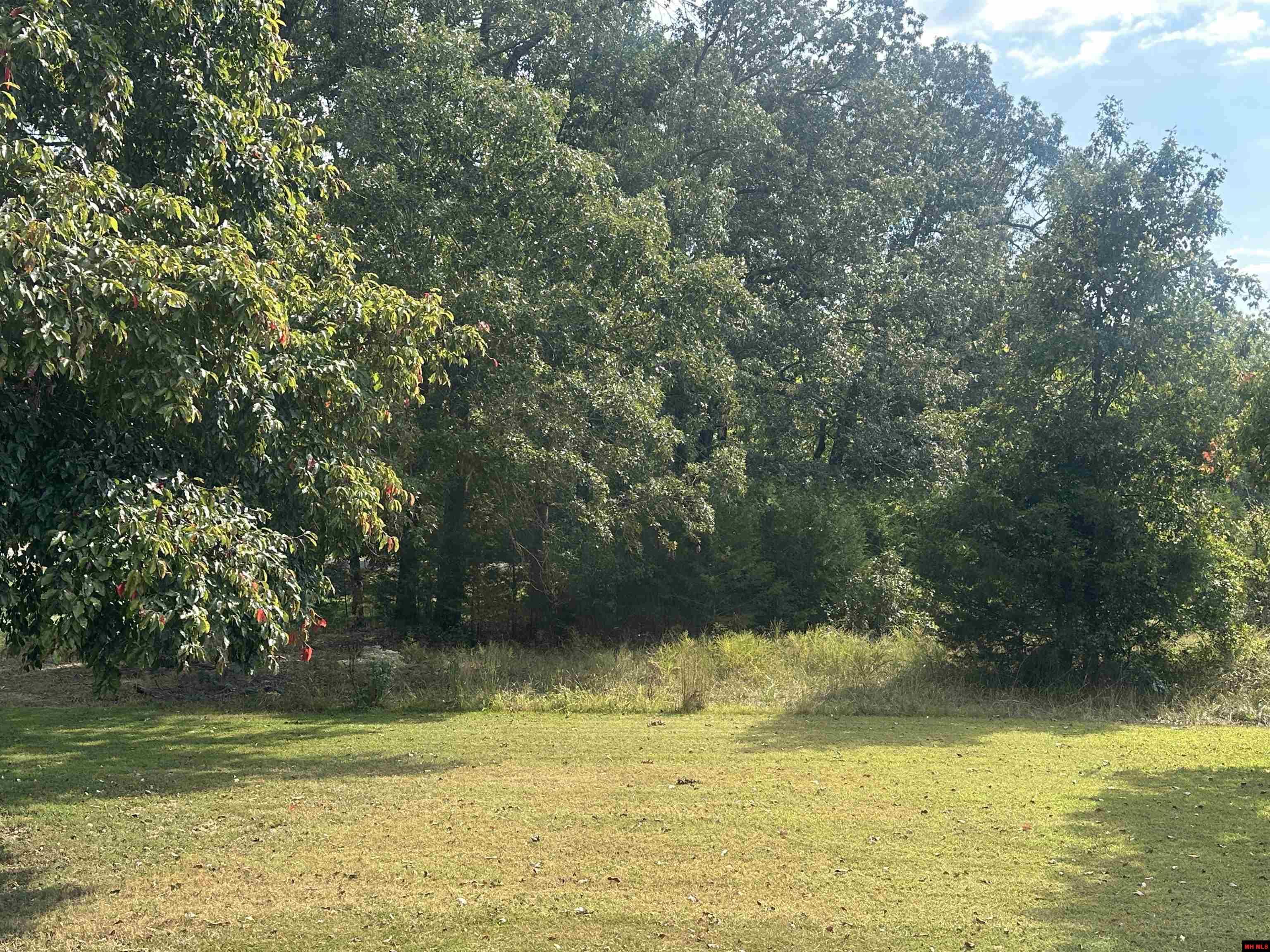 Image 1: View of lot from golf course.