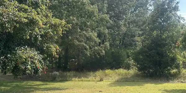 Image 1: View of lot from golf course.