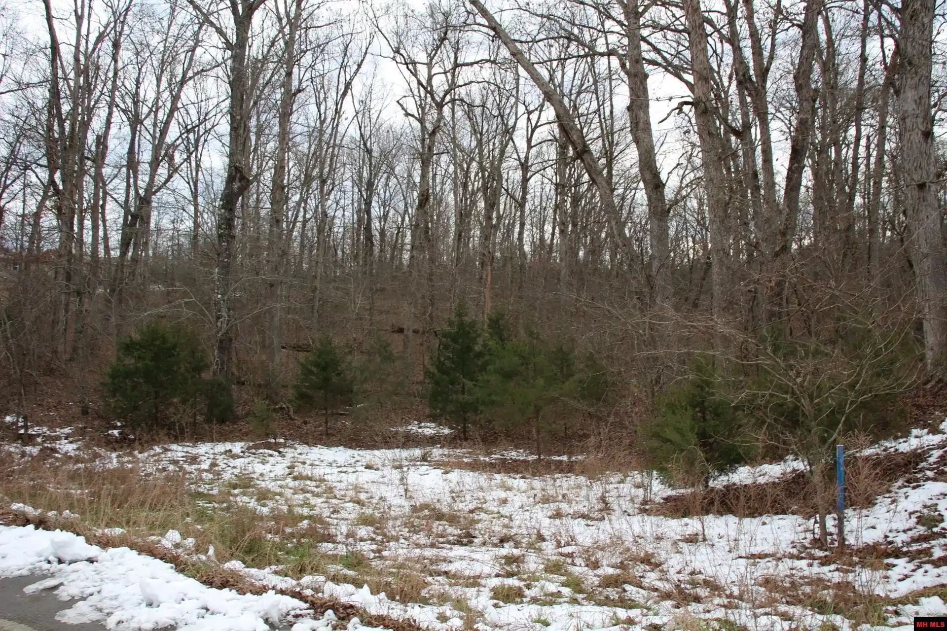Image 0