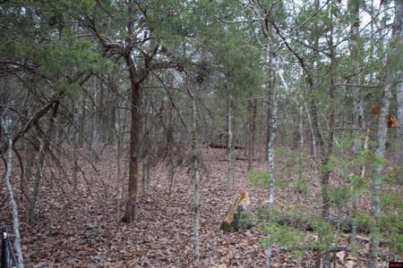 Lot 38 JEB ROAD