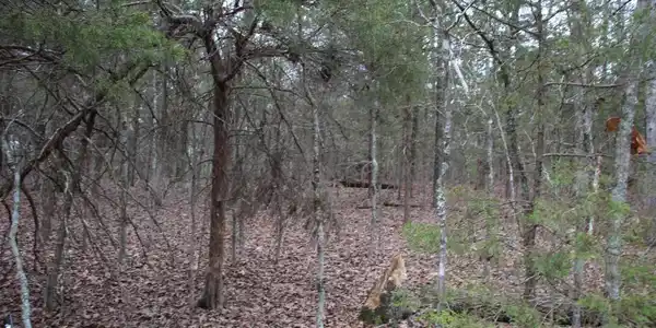 Lot 38 JEB ROAD