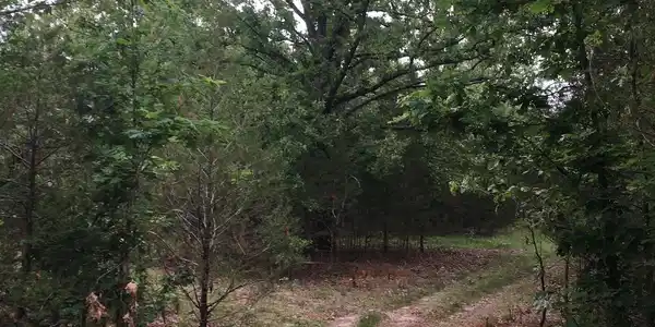 Tract A DEER HAVEN TRAIL