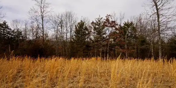 Lot 21 OAKRIDGE DRIVE