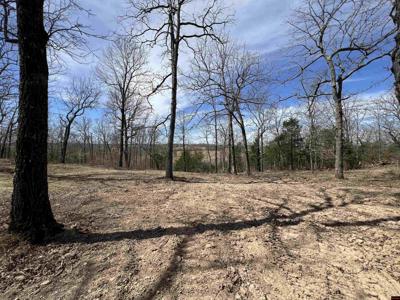 001-06967-000 BERRY KNOB LANE
