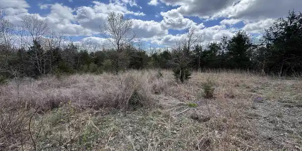 001-07445-013 CR 1423