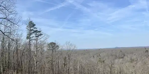 Tract 5 RAMBLEWOOD TRAIL