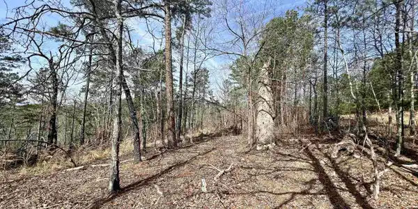 Tract 6 RAMBLEWOOD TRAIL