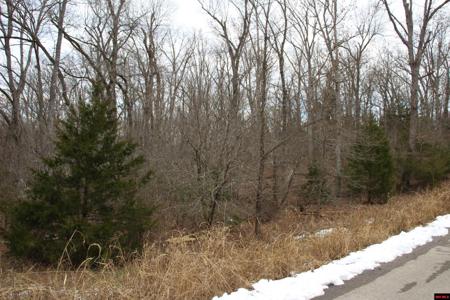 Lot 31 ELLY LANE