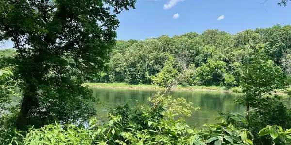 Lot 49 CANE ISLAND ROAD