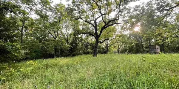 001-08872-000 DELANEY LANE