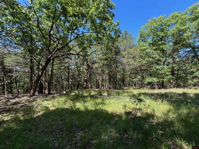 Lot 1-4 MC 131