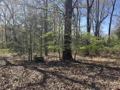 Lot 25 LAKEPOINTE DRIVE