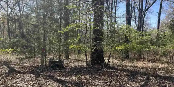 Lot 25 LAKEPOINTE DRIVE
